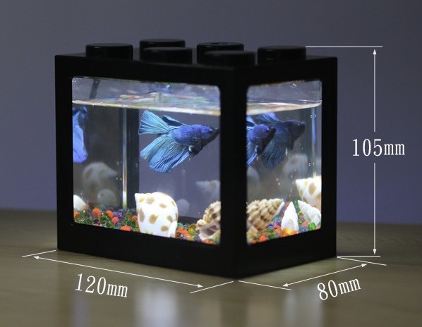Bể cá cảnh mini thiết kế dạng khối lắp ghép lego độc đáo