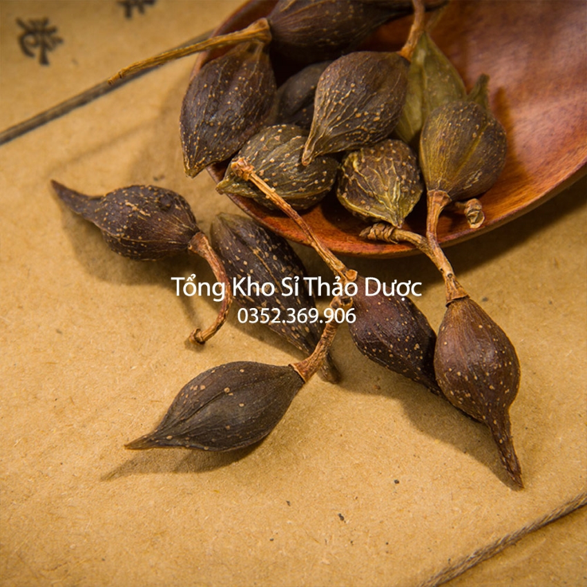 Liên Kiều Sạch Đẹp 500g