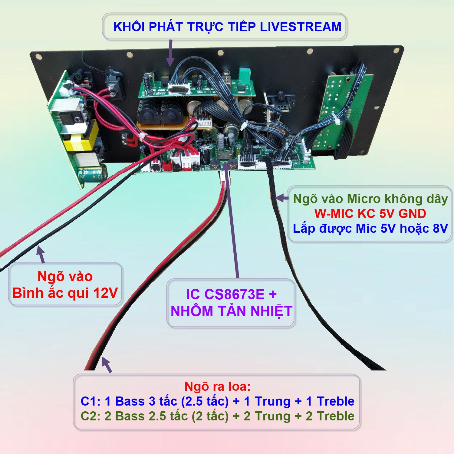 Mạch loa kéo LIVESTREAM DSP lập trình chống hú IC CS8676 công suất 60W –