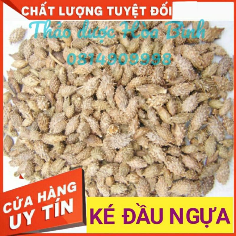 Ké đầu ngựa 1kg - ké quả - thương nhĩ tử - hàng mới, khô, đẹp