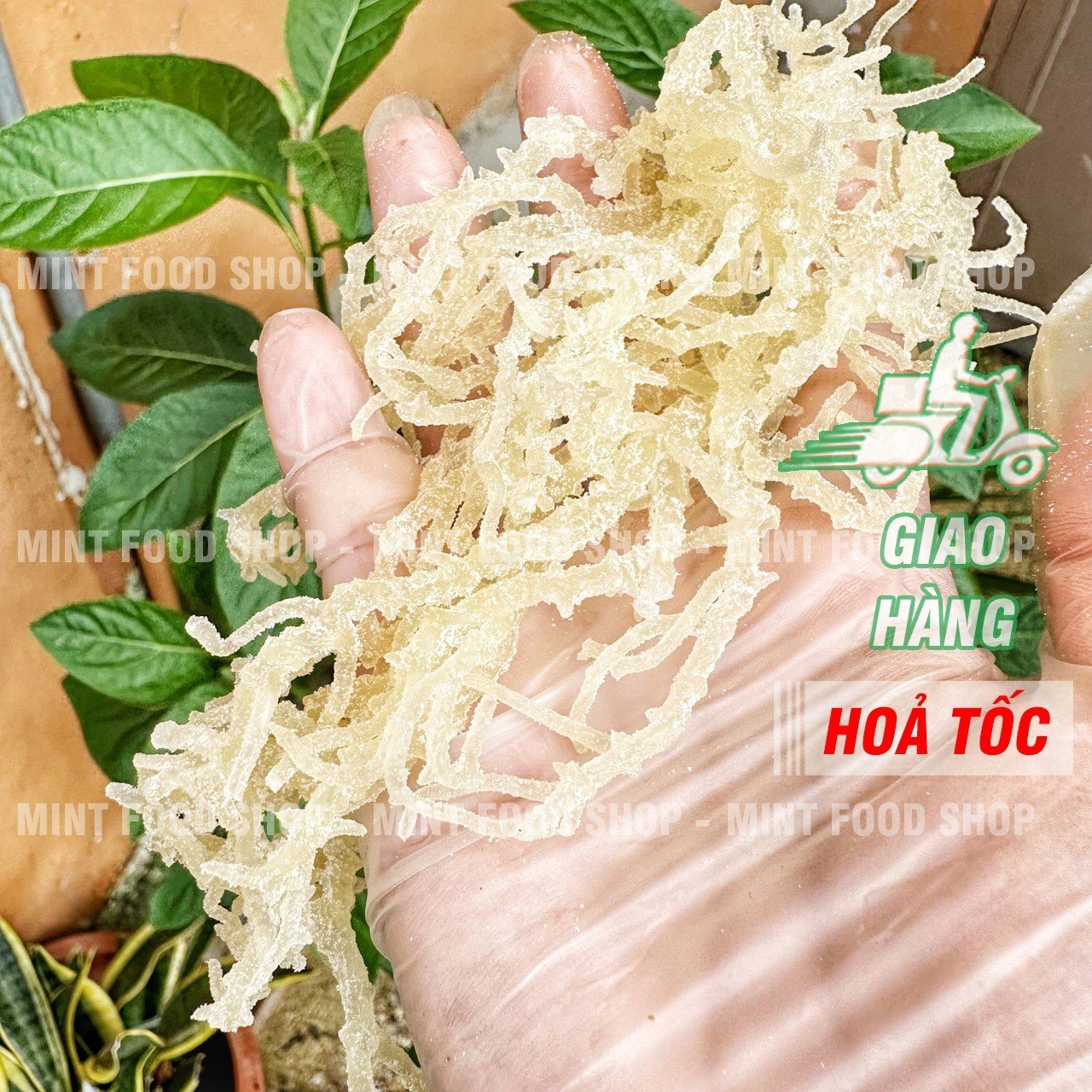 Rong sụn trắng túi 1kg