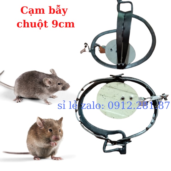 Cạm 9cm , cạm bẫy chuột không cần mồi