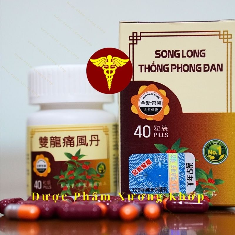 Song Long Thống Phong Đan Malaysia - Hỗ trợ xương khớp