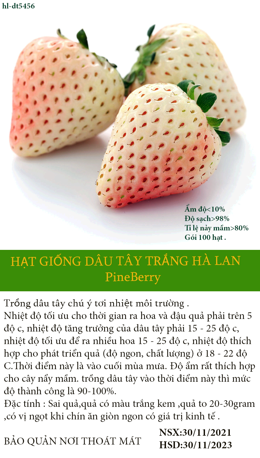 [HCM]Hạt giống Dâu tây Trắng HÀ LAN (100 hạt/gói)- TẶNG GÓI PHÂN KÍCH TĂNG TRƯỞNG .