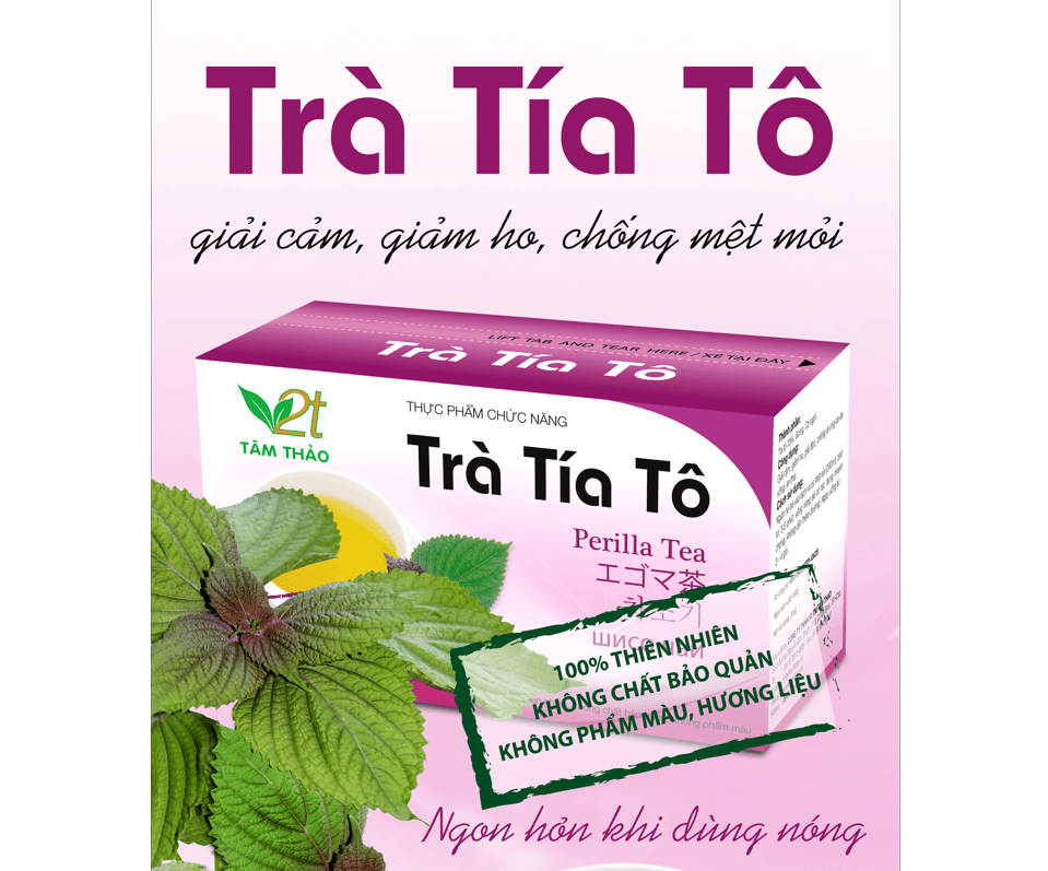 Trà tía tô túi lọc giải cảm giảm ho - lá tía tô