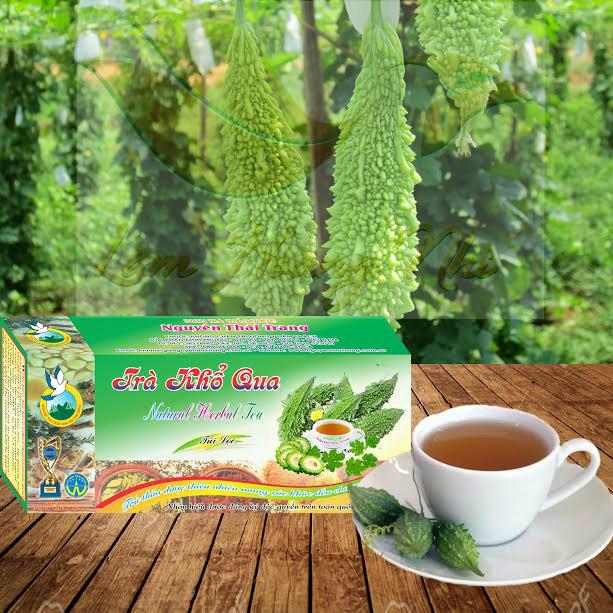 Trà Khổ Qua Rừng cho người giảm cân mỡ máu tiểu đường - Nguyên Thái Trang