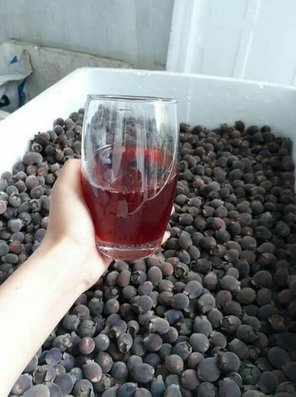 500g quả sim rừng khô