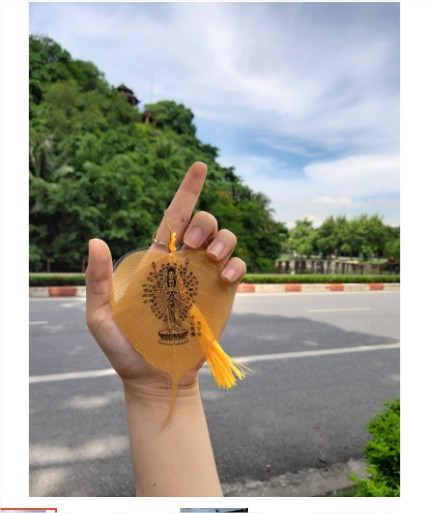 90 chiếc lá tạo cho khách