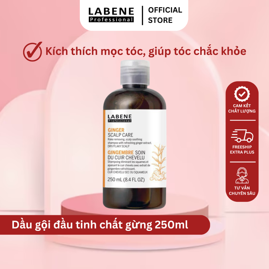 Dầu gội tinh chất gừng tươi Ginger Scalp Care 250ml làm sạch da đầu chống rụng &kích mọc tóc | LABENE
