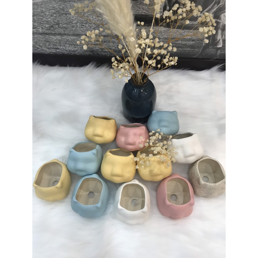 CHẬU TRỒNG SEN ĐÁ HÌNH HEO CON - CHẬU TRỒNG CÂY CẢNH HÌNH THÚ CƯNG - CÂY CẢNH MINI SỨ BÁT TRÀNG - XƯƠNG