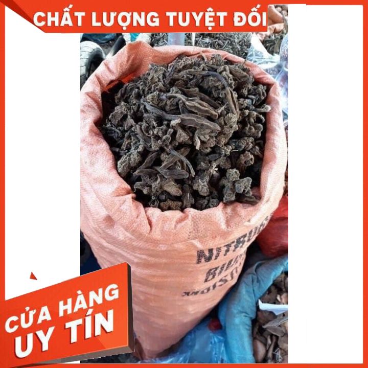 Nấm ngọc cẩu khô nguyên búp loại I