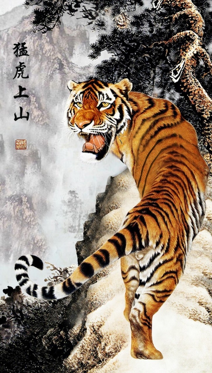 Abstract Tiger Wallpapers Top Những Hình Ảnh Đẹp