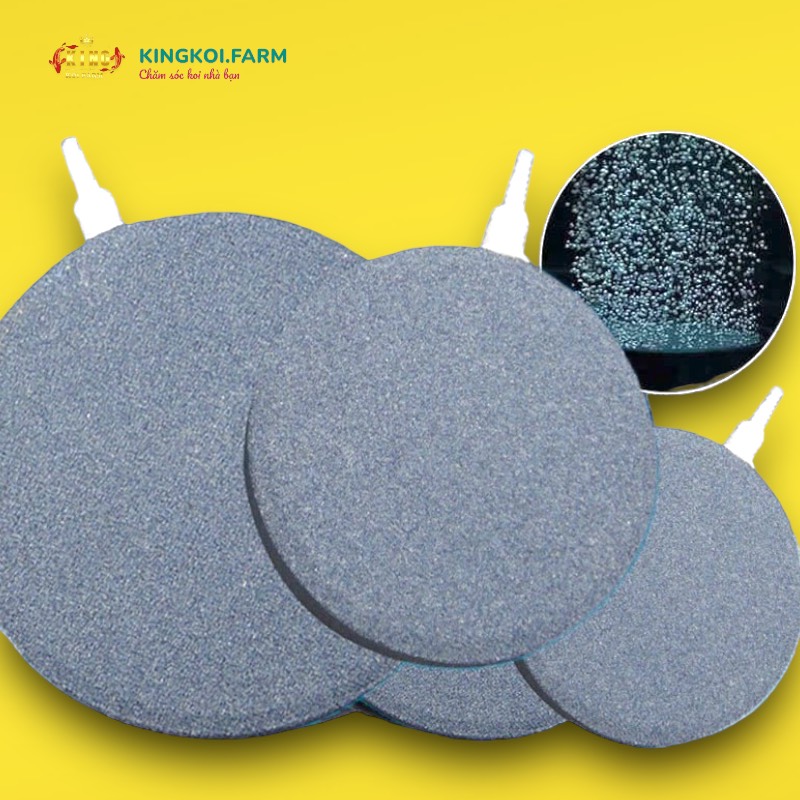 Đĩa sủi oxy cao cấp Siêu mịn 20CM 30CM Đĩa sủi tạo bọt khí oxy siêu mịn dành cho hồ cá Koi cá cảnh