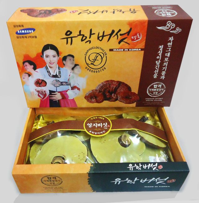 Nấm Linh Chi Vàng Hàn Quốc Thượng Hạng 3 Cô Gái - Hộp 1kg