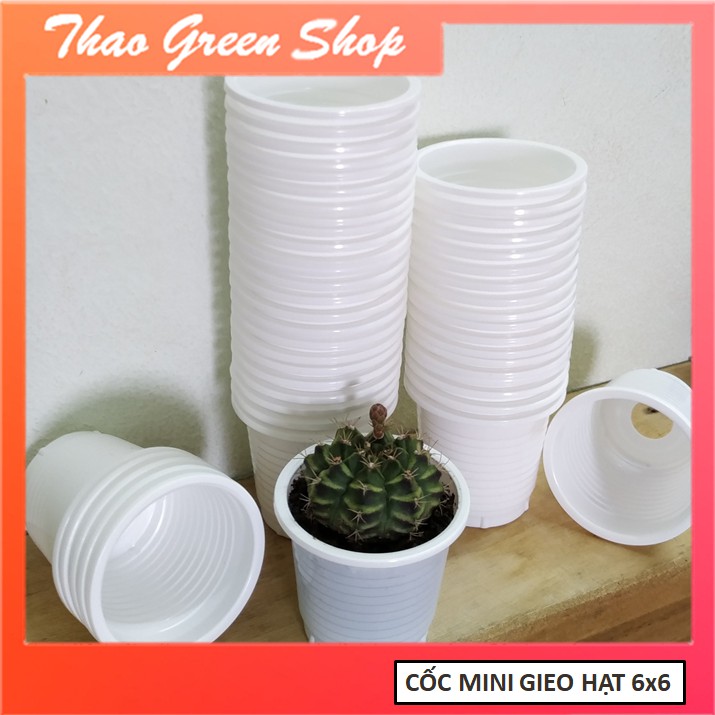 Combo 10 cốc nhựa gieo hạt kích thước 6x6