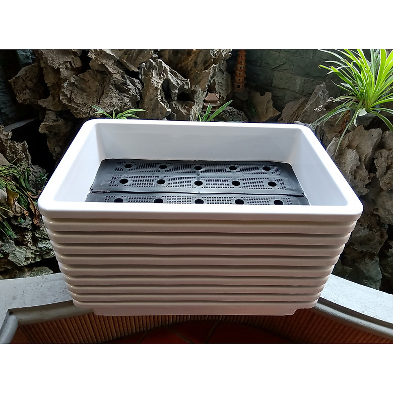 5 Chậu Trồng Rau Sạch Thông Minh, Trồng Cây, Màu Trắng (65cmx42cmx16cm)