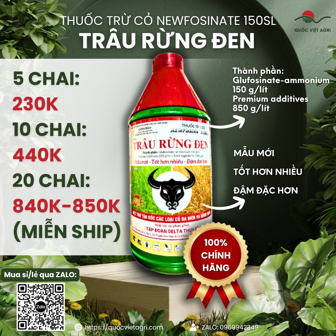 (1 chai - 1 thùng) Thuốc trừ cỏ TRÂU RỪNG ĐEN (chai 900ml) - Glufosinate ammonium 150 g/lít