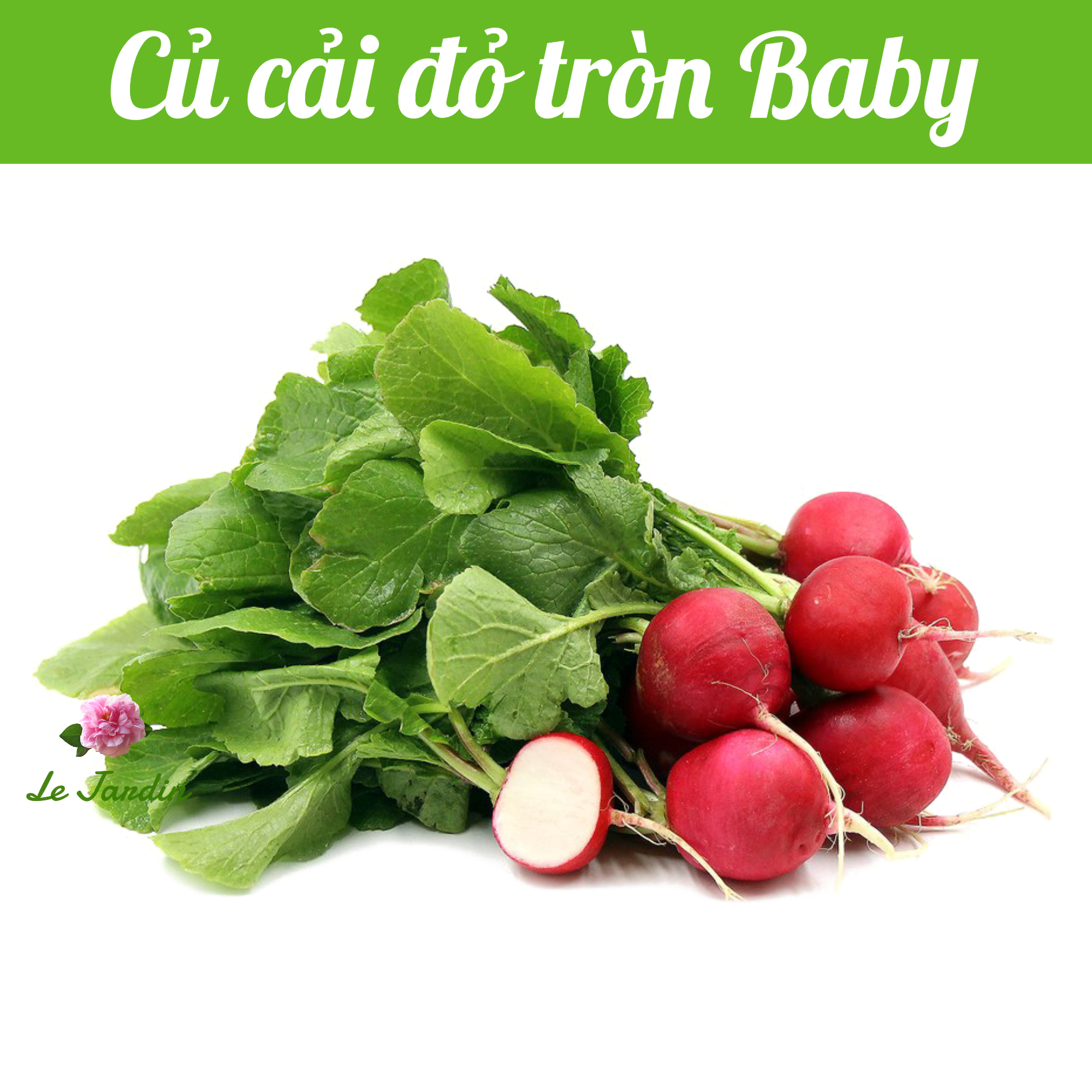 Hạt giống củ cải đỏ gói 2gr - rất dễ trồng