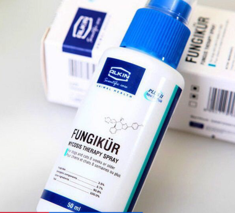 Xịt Nấm Cho Da Bị Đóng Vảy Rụng Nhiều Lông Alkin Fungikur 50ml