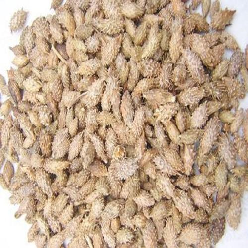 ké dầu ngựa 500g