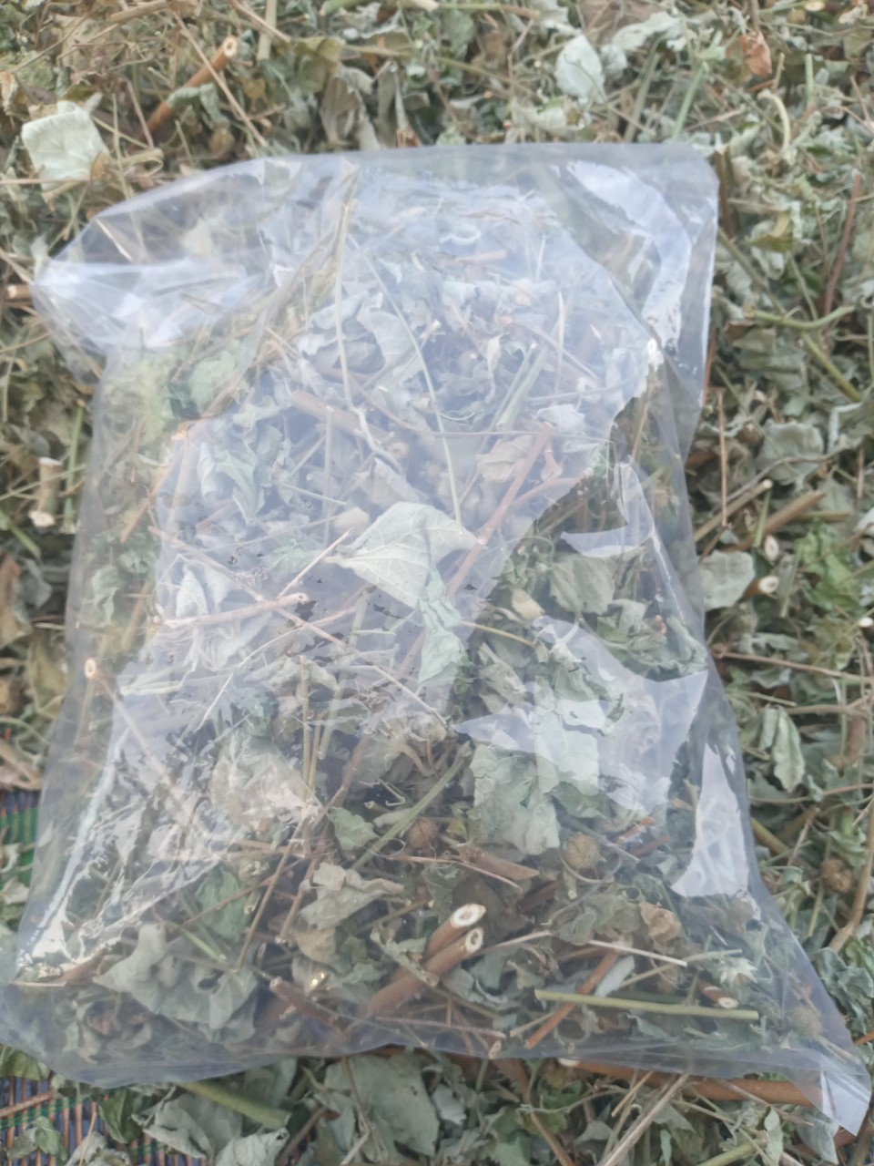 500g Ké Hoa Đào phơi khô dùng làm dược liệu