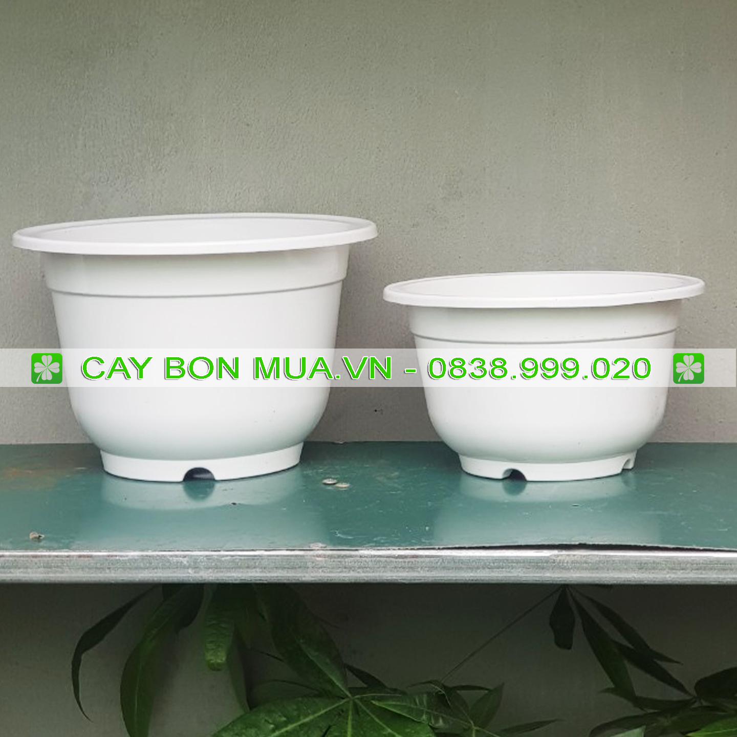 Chậu nhựa trồng cây đa năng, nhựa dày nhiều kích thước lựa chọn