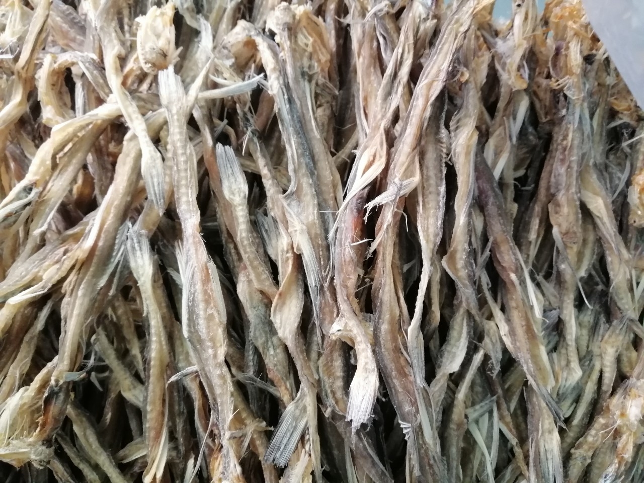 KHÔ CÁ KHOAI LOẠITRUNG  , NGON NGỌT TỰ NHIÊN 1 KG, ĐẶC SẢN MINH TRIẾT CÀ MAU-Vựa Khô Nam Thiên