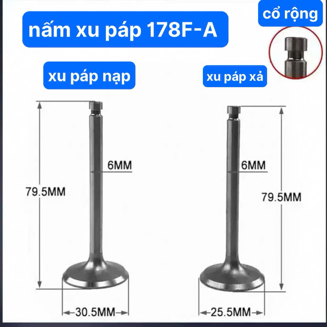 Bộ Đôi Nấm Supap Máy Phát Điện 178FA Su Páp Máy Cày 178F-A Xu Páp Máy Phát Điện ( cổ rộng ) hgshopp 178FA