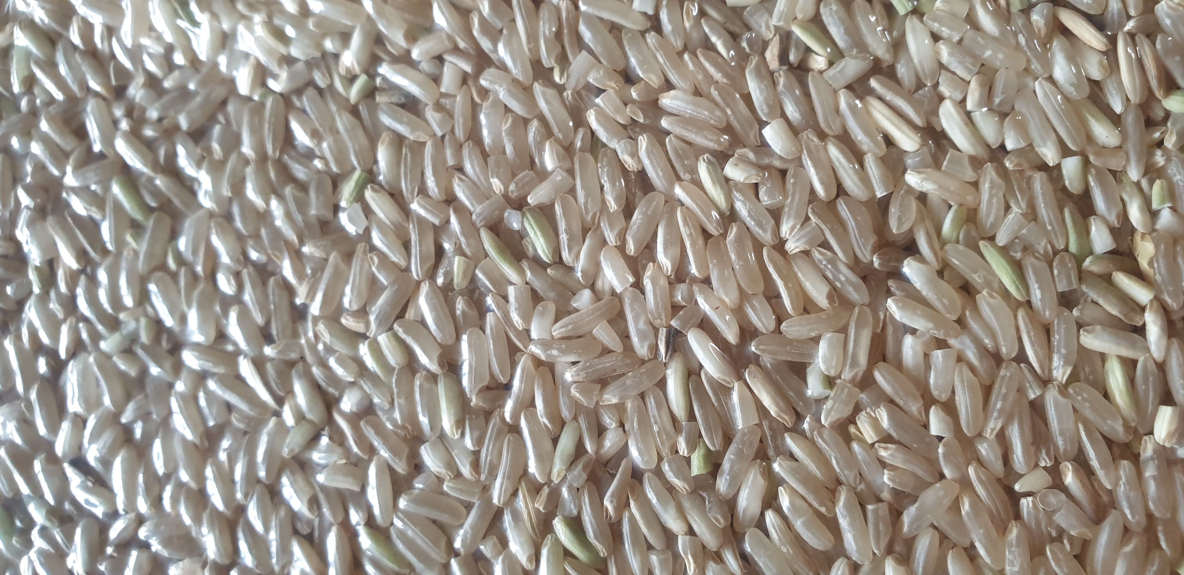 Gạo lứt thơm miên trung- lứt trắng 1kg