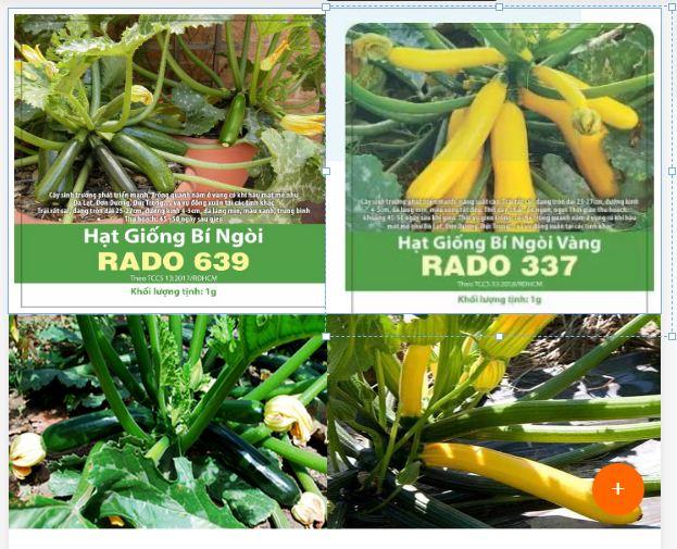 [HCM]COMBO 2 GÓI BÍ NGÒI F1 : XANH_VÀNG HÀN QUỐC - GÓI 1G. DỄ TRỒNG NĂNG SUẤT CAO .