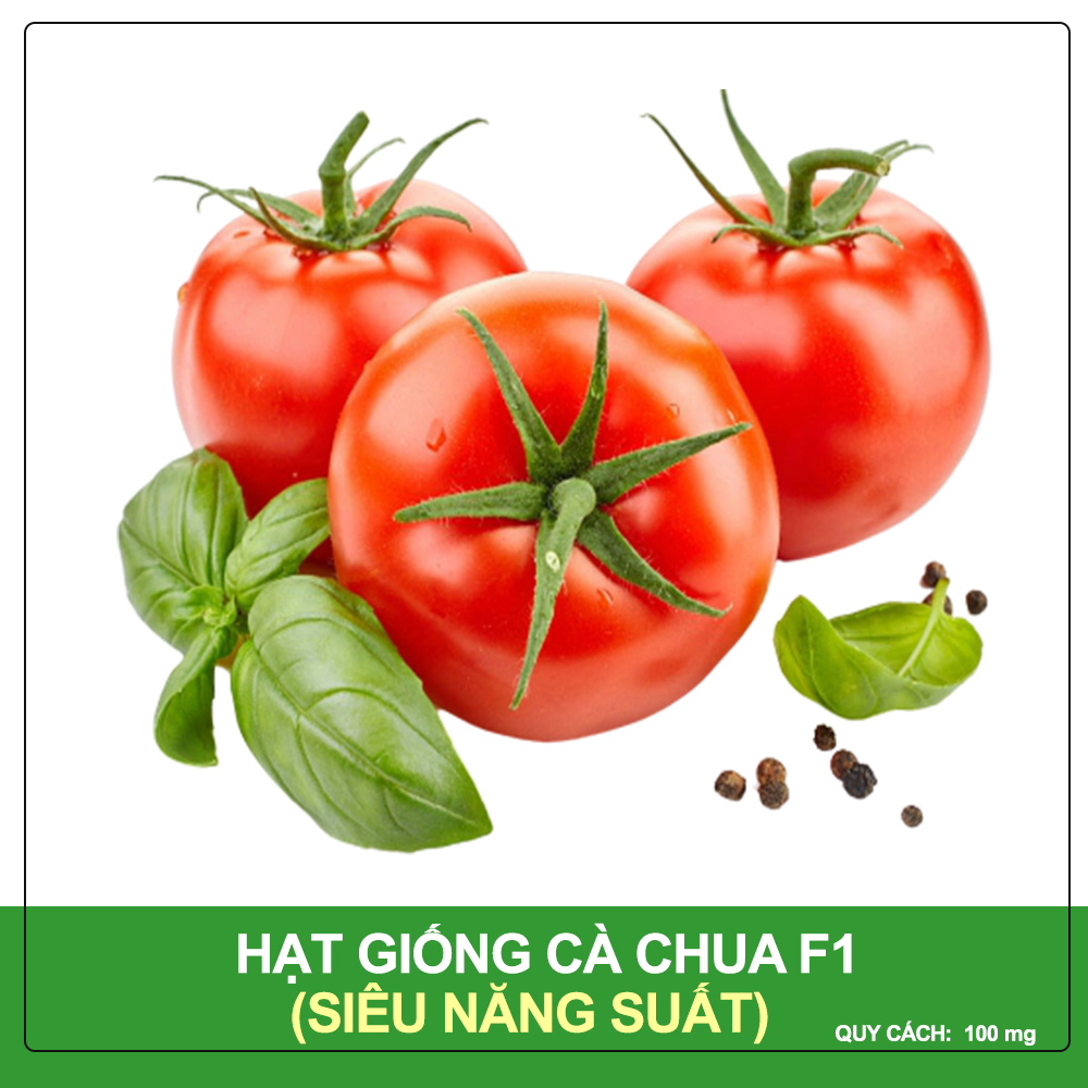 Hạt Giống Cà Chua T11 Phú Nông Gói 100 mg