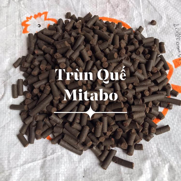 [Giảm đến 50%] Combo 5kg phân trùn quế dạng viên nén trồng hoa lan rất tốt - phân trùng quế Mitabo