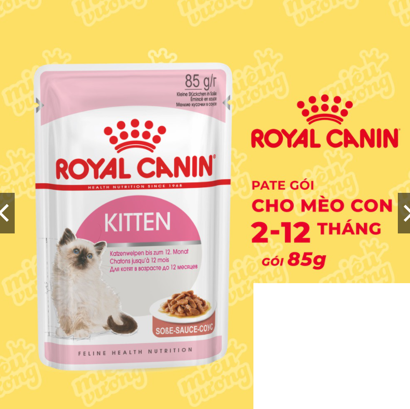 Pate Royal Canin Kitten Pate Canin Kitten Cho Mèo Con Gói 85g