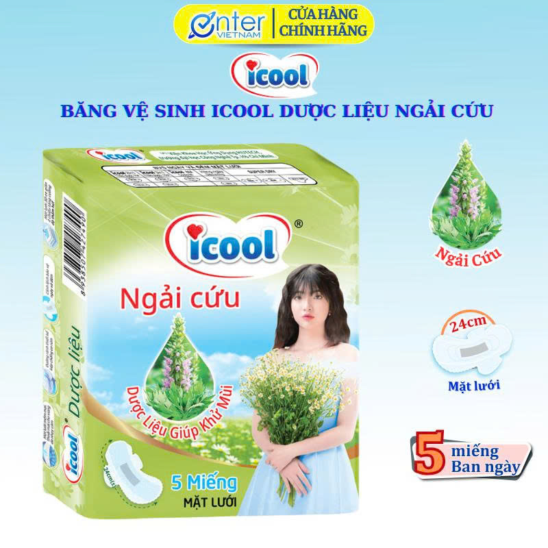   Hàng Chính Hãng   Băng Vệ Sinh Dược Liệu Xanh Ngải Cứu Mặt Lưới  5 Miếng Dài 24cm Có Cánh  
