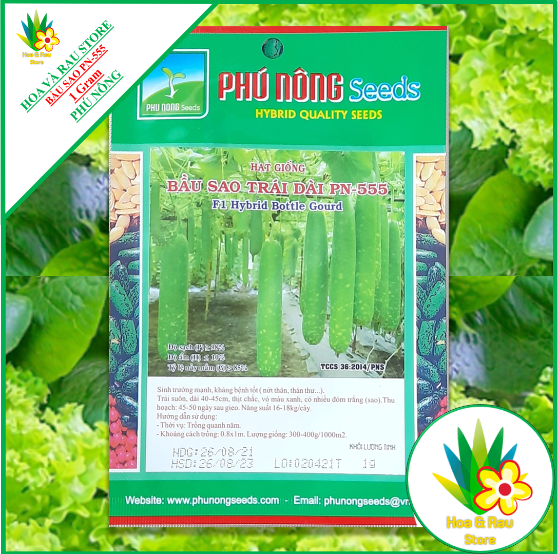 Hạt giống bầu sao trái dài pn555 - 1gr - phú nông - hoa và rau store