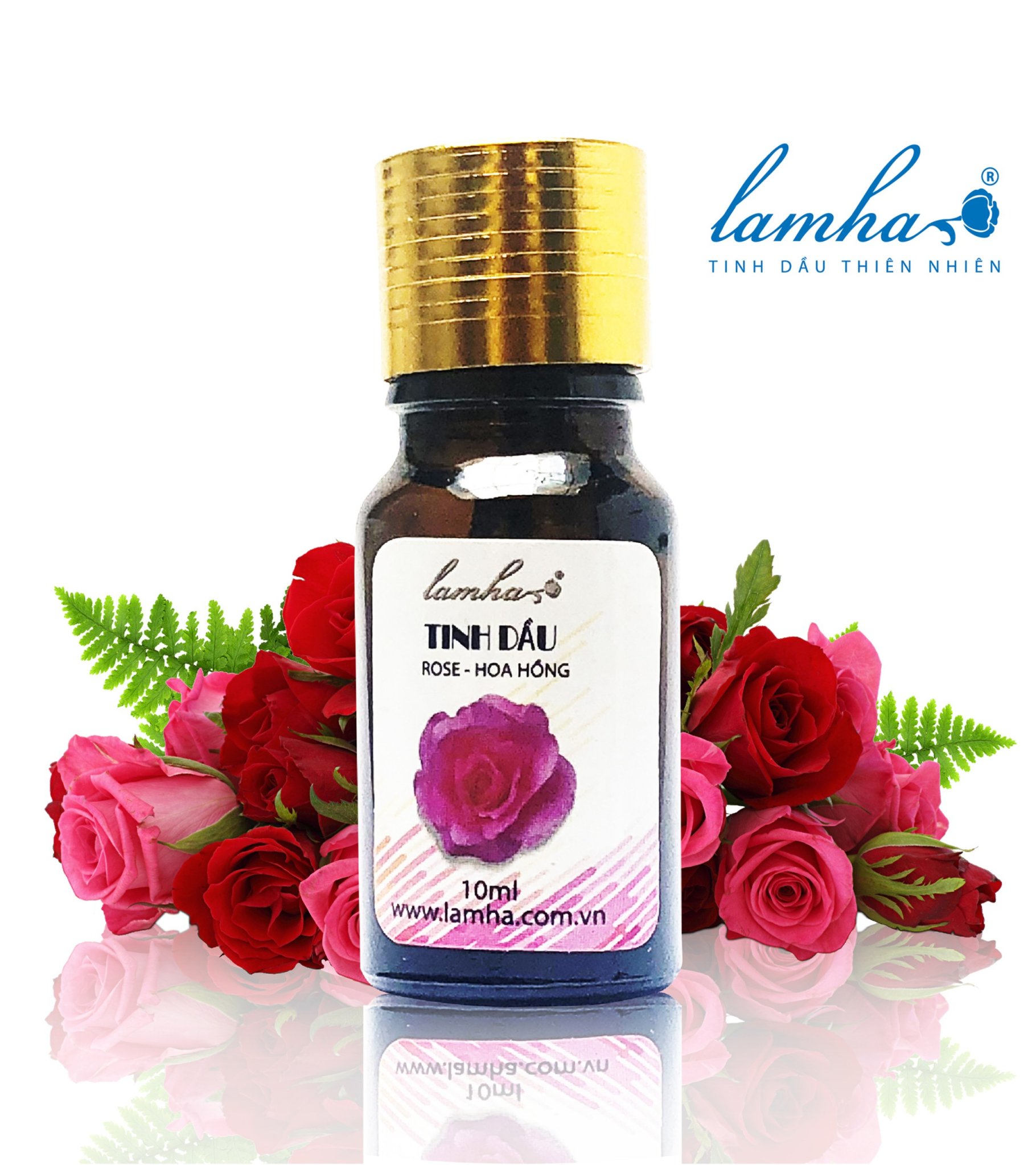 Tinh dầu hoa hồng 10ml lam hà