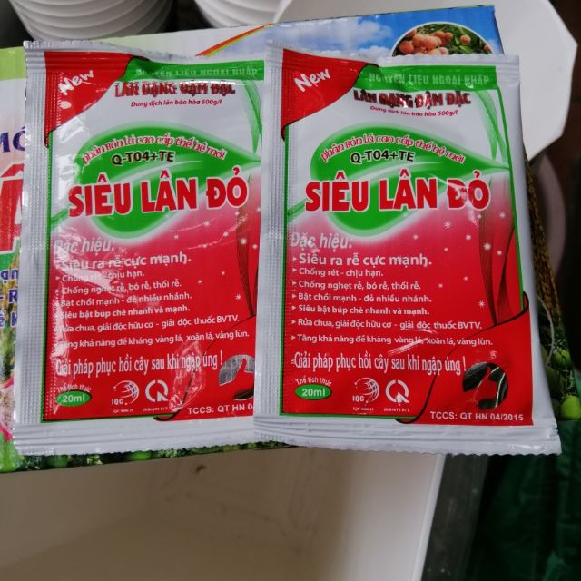 Siêu lân đỏ - Siêu ra rễ cực mạnh