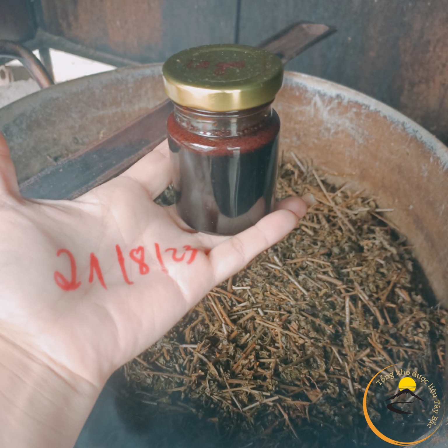 Cao cà gai leo nguyên chất được nấu thủ công từ cà gai leo khô giúp giải độc gan, giải rượu, hỗ trợ thanh nhiệt mát gan