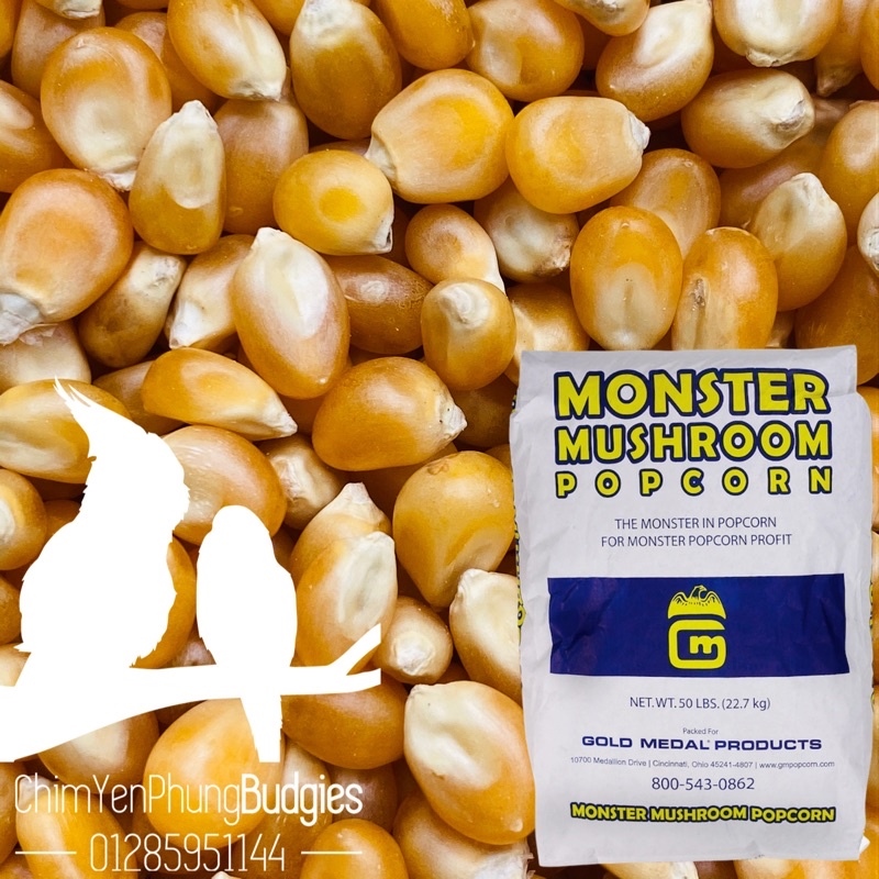 1kg bắp nổ Monster Mushroom PopCorn dùng làm bắp rang bơ tại nhà.