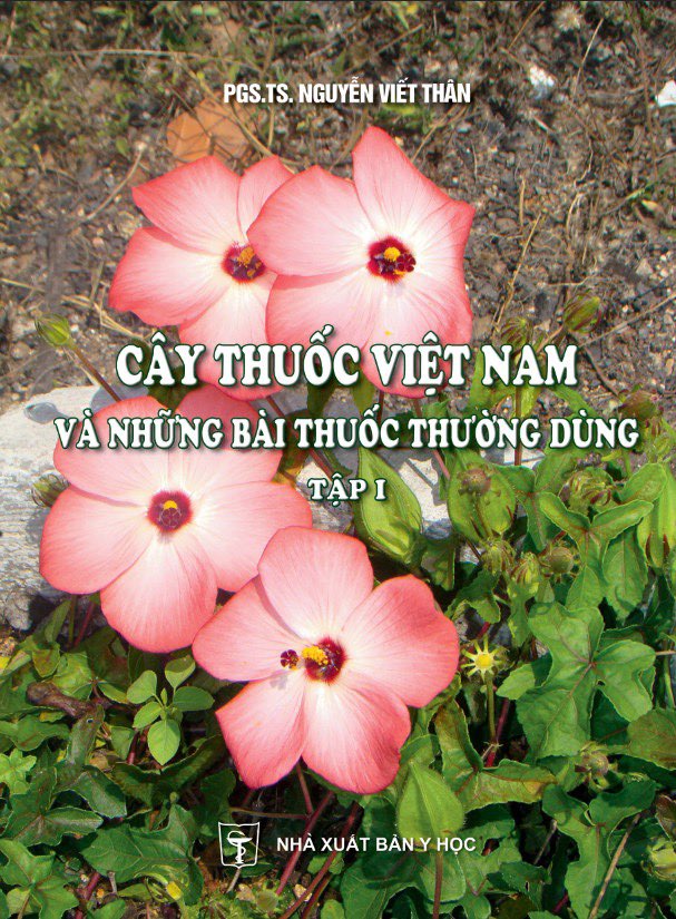 BỘ SÁCH CÂY THUỐC VIỆT NAM VÀ NHỮNG BÀI THUỐC THƯỜNG DÙNG(Gồm 4 tập) (PGS.TS. Nguyễn Viết Thân) (Sách in 100% Couche, hình ảnh mầu)