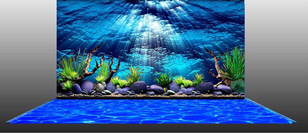 Tranh dán hồ cá phong cảnh TAN 008 (Kích thước 60x40cm)