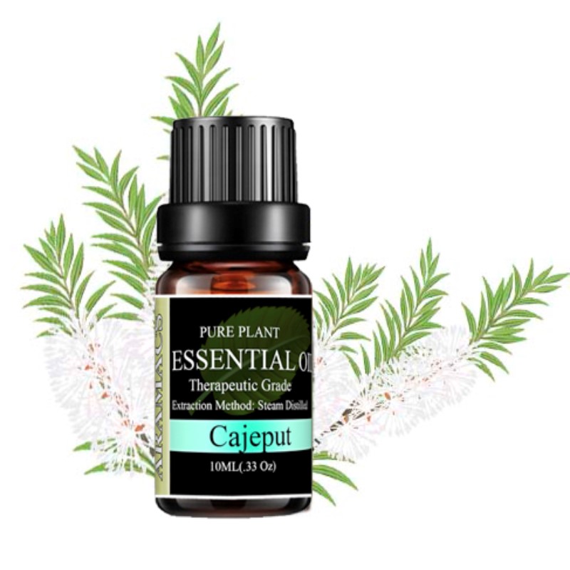 Essential oil Melaleuca wind have pleasant aroma and a great effect for