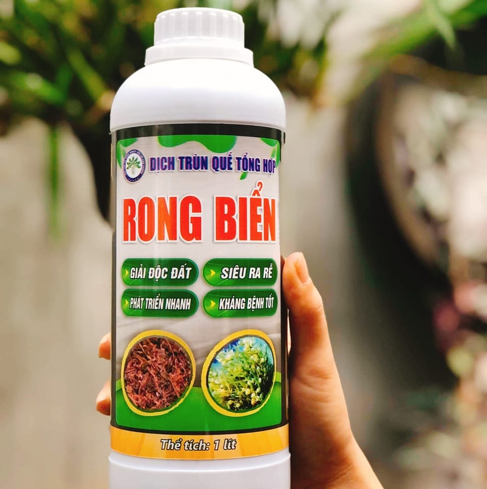 Phân bón hữu cơ sinh học dịch trùn quế rong biển - chai 1 lít