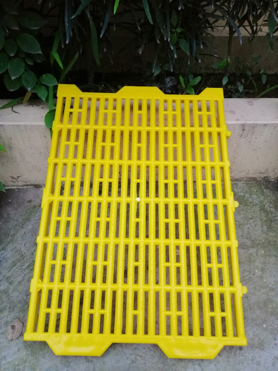 Sàn nhựa lót chuồng heo, chó, mèo loại A+ (nhựa nguyên sinh)