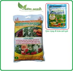 (tặng Lân xanh kích rễ) Nấm Trichoderma (ủ phân+ tưới gốc) phòng thối rễ, tăng cường miễn dịch cây trồng 1kg