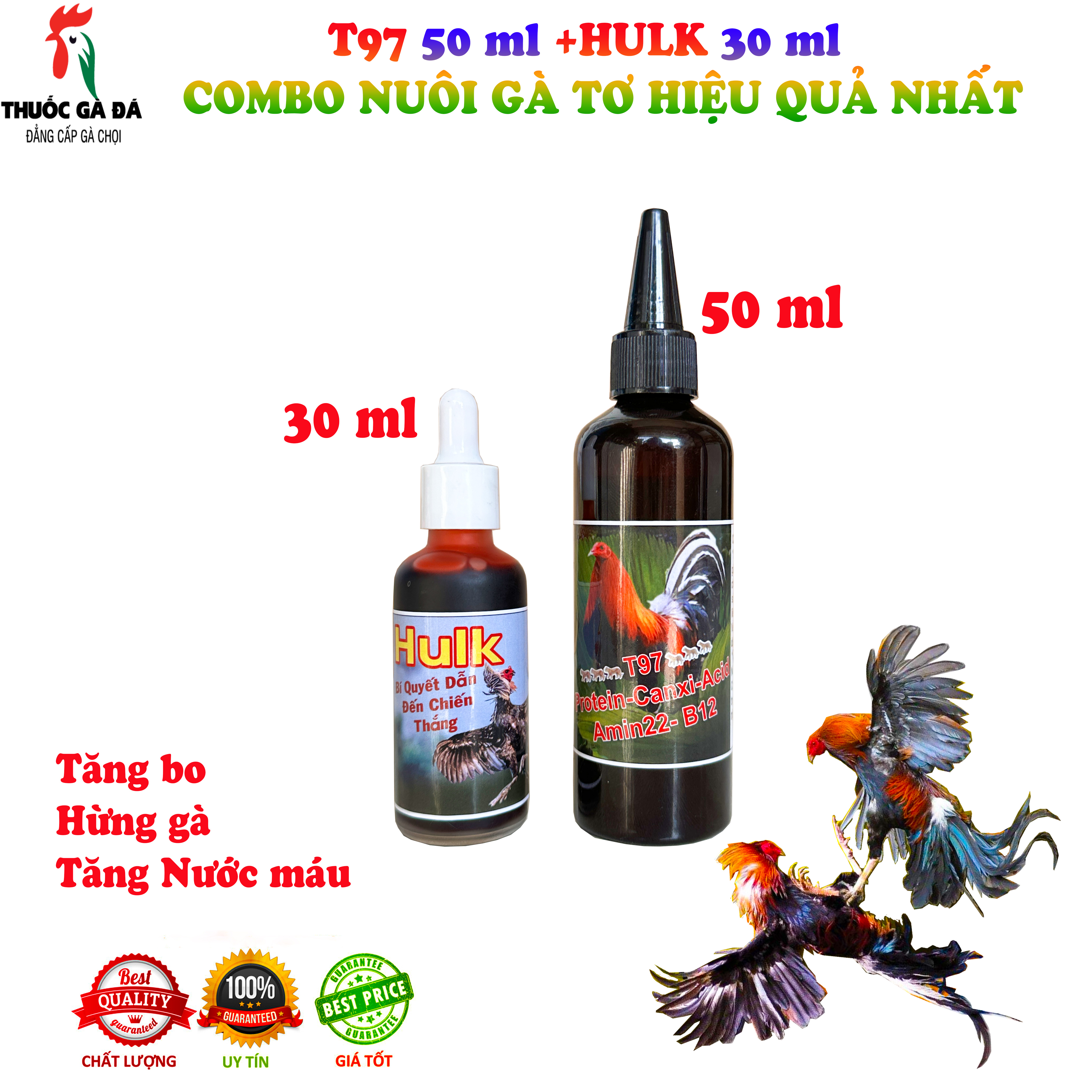 T97 nuôi gà tơ chế độ,.