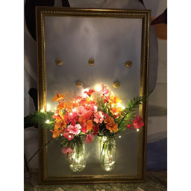 Đèn led trang trí tết 3d đom đóm, dài 2m dùng pin