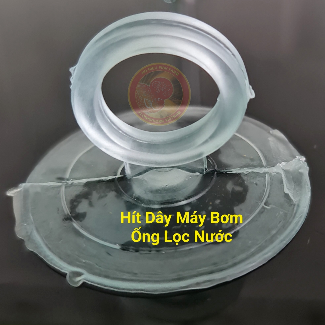 Hít kính giữ dây máy bơm, giữ ống, ngăn hồ cho hồ cá cảnh