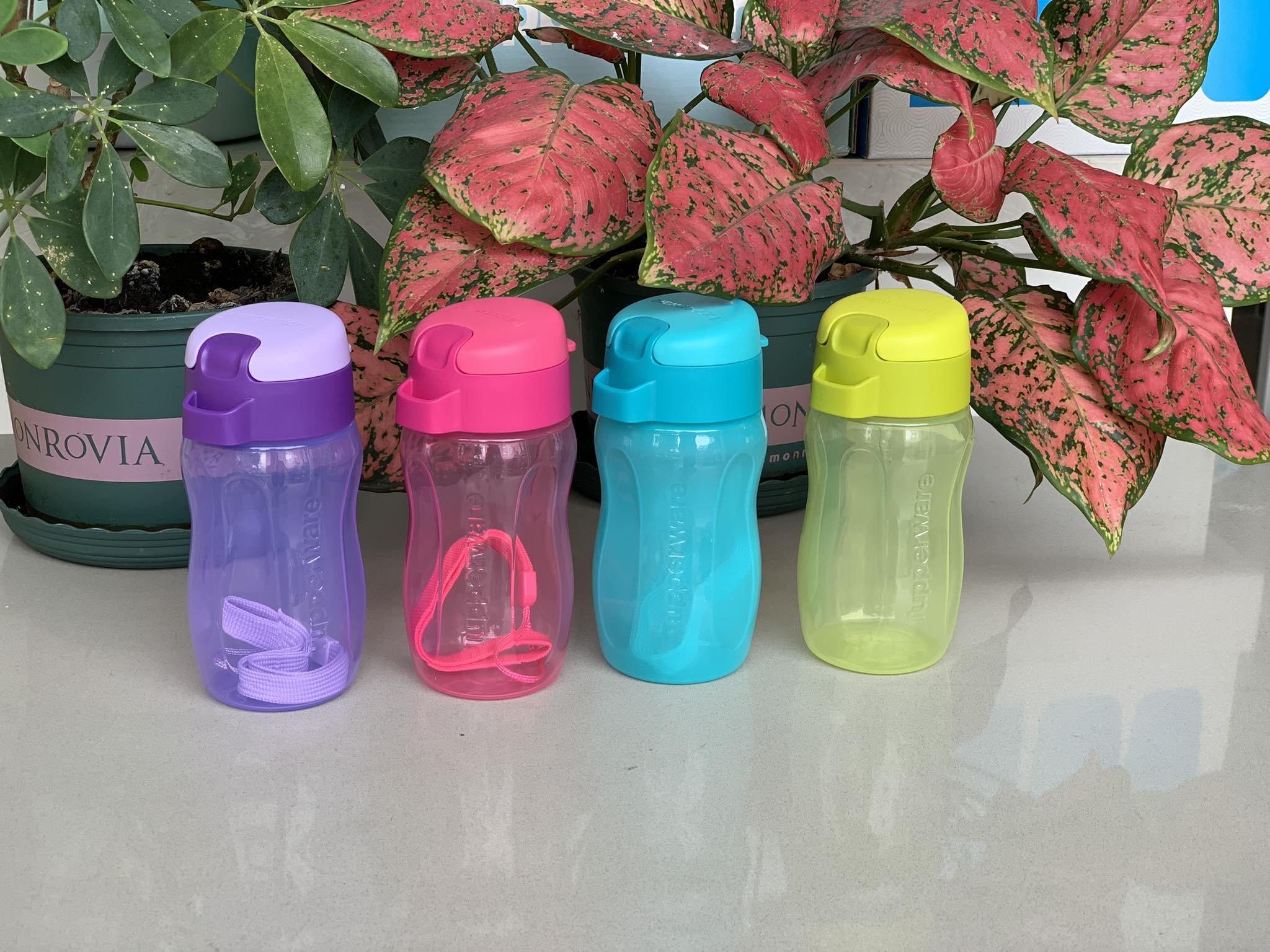 Bình nước Eco 310 ml Tupperware
