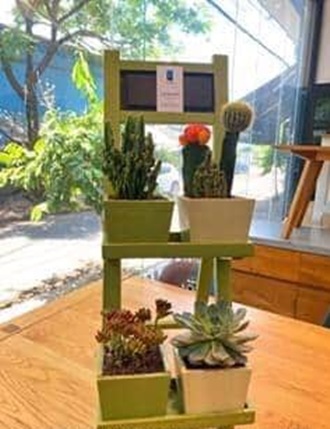 Kệ gỗ để chậu hoa trang trí phòng - nanu